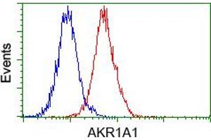 Image no. 4 for anti-Aldo-Keto Reductase Family 1, Member A1 (Aldehyde Reductase) (AKR1A1) antibody (ABIN1496543) (AKR1A1 anticorps)