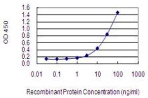 Detection limit for recombinant GST tagged AFF2 is 0.