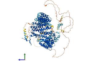 AlphaFold protein structure predicition of Human Recombinant SF3B1 Protein, UniprotID O75533