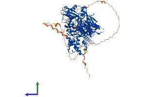 AlphaFold protein structure predicition of Human Recombinant KDM1A Protein, UniprotID O60341