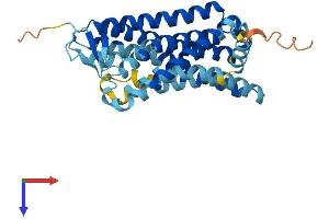 AlphaFold protein structure predicition of Human Recombinant OR5V1 Protein, UniprotID Q9UGF6