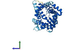 AlphaFold protein structure predicition of Human Recombinant SLC25A31 Protein, UniprotID Q9H0C2