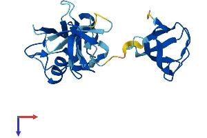 AlphaFold protein structure predicition of Mouse Recombinant Grb2 Protein, UniprotID Q60631