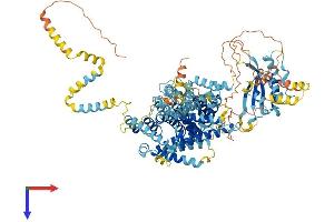 AlphaFold protein structure predicition of Mouse Recombinant Snx14 Protein, UniprotID Q8BHY8