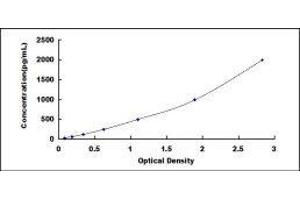 Platelet Derived Growth Factor Subunit B (PDGFB) ELISA Kit