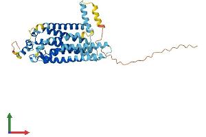 AlphaFold protein structure predicition of Human Recombinant S1PR4 Protein, UniprotID O95977