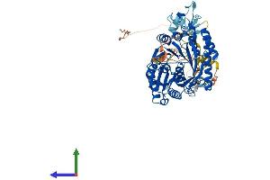 AlphaFold protein structure predicition of Human Recombinant TRMT2A Protein, UniprotID Q8IZ69