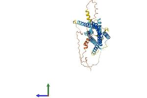AlphaFold protein structure predicition of Mouse Recombinant Gpr135 Protein, UniprotID Q7TQP2