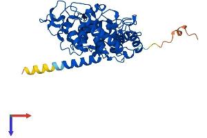 AlphaFold protein structure predicition of Human Recombinant PGGT1B Protein, UniprotID P53609