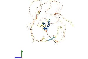 AlphaFold protein structure predicition of Mouse Recombinant Irx5 Protein, UniprotID Q9JKQ4