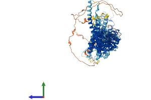AlphaFold protein structure predicition of Human Recombinant NUP107 Protein, UniprotID P57740
