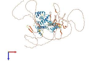 AlphaFold protein structure predicition of Mouse Recombinant Dmtf1 Protein, UniprotID Q8CE22