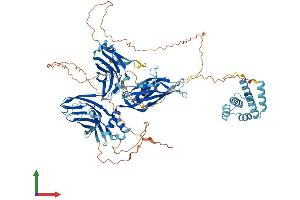 AlphaFold protein structure predicition of Human Recombinant DTHD1 Protein, UniprotID Q6ZMT9