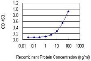 Detection limit for recombinant GST tagged SULF2 is 0. (SULF2 anticorps  (AA 1-149))
