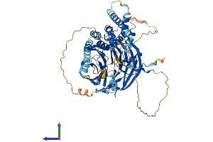 AlphaFold protein structure predicition of Mouse Recombinant Katnb1 Protein, UniprotID Q8BG40