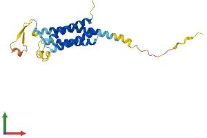 AlphaFold protein structure predicition of Mouse Recombinant Nkain1 Protein, UniprotID Q9D035