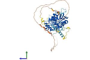 AlphaFold protein structure predicition of Mouse Recombinant Edc3 Protein, UniprotID Q8K2D3