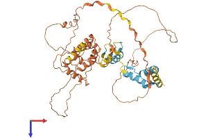 AlphaFold protein structure predicition of Human Recombinant ZBTB12 Protein, UniprotID Q9Y330