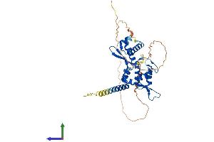 AlphaFold protein structure predicition of Human Recombinant MAGEA10 Protein, UniprotID P43363