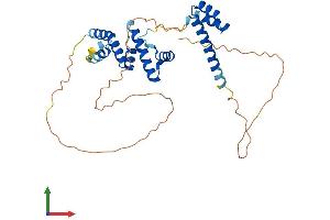 AlphaFold protein structure predicition of Mouse Recombinant Six3 Protein, UniprotID Q62233