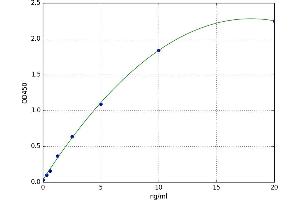 A typical standard curve