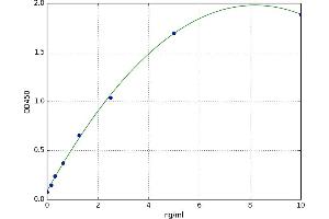 SRY (Sex Determining Region Y)-Box 18 (SOX18) ELISA Kit