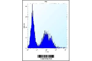 Flow cytometric analysis of 293 cells (right histogram) compared to a negative control cell (left histogram). (TSSK6 anticorps  (C-Term))