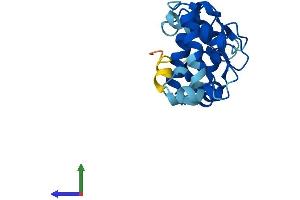 AlphaFold protein structure predicition of Human Recombinant CIB3 Protein, UniprotID Q96Q77