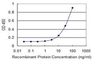 Detection limit for recombinant GST tagged TBX21 is 1 ng/ml as a capture antibody. (T-Bet anticorps  (AA 387-486))