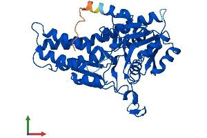 AlphaFold protein structure predicition of Mouse Recombinant Mri1 Protein, UniprotID Q9CQT1