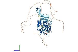 AlphaFold protein structure predicition of Human Recombinant DDX21 Protein, UniprotID Q9NR30