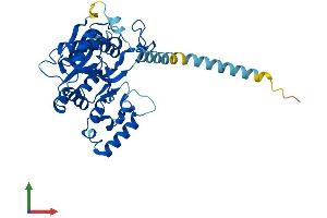 AlphaFold protein structure predicition of Human Recombinant B3GNT5 Protein, UniprotID Q9BYG0