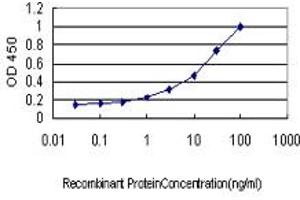 Detection limit for recombinant GST tagged HHEX is approximately 0. (HHEX anticorps  (AA 1-270))
