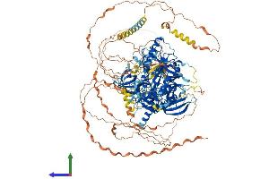 AlphaFold protein structure predicition of Human Recombinant UBE2O Protein, UniprotID Q9C0C9