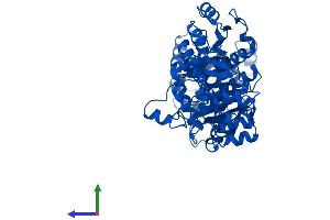 AlphaFold protein structure predicition of Mouse Recombinant Atic Protein, UniprotID Q9CWJ9