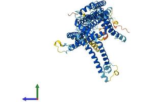 AlphaFold protein structure predicition of Mouse Recombinant Slc44a4 Protein, UniprotID Q91VA1