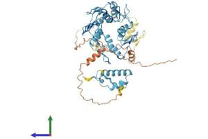 AlphaFold protein structure predicition of Human Recombinant ZNF727 Protein, UniprotID A8MUV8