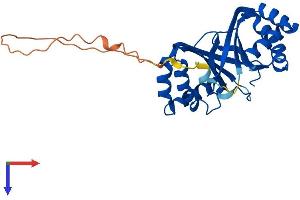 AlphaFold protein structure predicition of Mouse Recombinant Nipsnap2 Protein, UniprotID O55126