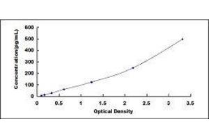 Chemokine (C-X-C Motif) Ligand 3 (CXCL3) ELISA Kit