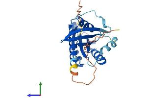 AlphaFold protein structure predicition of Mouse Recombinant Rab19 Protein, UniprotID P35294