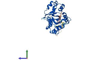 AlphaFold protein structure predicition of Human Recombinant NMNAT3 Protein, UniprotID Q96T66