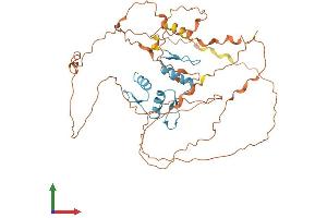 AlphaFold protein structure predicition of Mouse Recombinant Klf5 Protein, UniprotID Q9Z0Z7