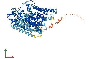 AlphaFold protein structure predicition of Mouse Recombinant Slc5a7 Protein, UniprotID Q8BGY9