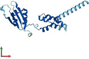 AlphaFold protein structure predicition of Mouse Recombinant Fbxo36 Protein, UniprotID Q9CQ24