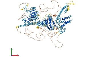 AlphaFold protein structure predicition of Human Recombinant TRPM1 Protein, UniprotID Q7Z4N2