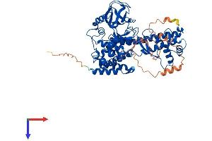 AlphaFold protein structure predicition of Mouse Recombinant Setd3 Protein, UniprotID Q91WC0