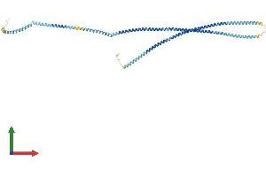 AlphaFold protein structure predicition of Human Recombinant TCHP Protein, UniprotID Q9BT92
