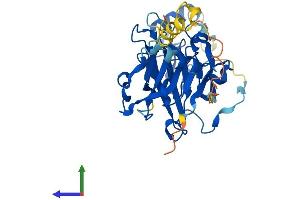 AlphaFold protein structure predicition of Human Recombinant PDCD2 Protein, UniprotID Q16342