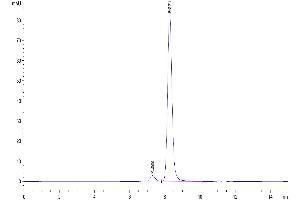 The purity of Human NGAL/Lipocalin-2 is greater than 95 % as determined by SEC-HPLC. (Lipocalin 2 Protein (LCN2) (AA 21-198) (Fc Tag))