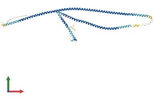 AlphaFold protein structure predicition of Human Recombinant GAS8 Protein, UniprotID O95995